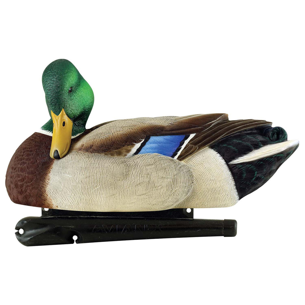 Preener image of the Avian-X Topflight Mallards Fusion Extreme Drake.