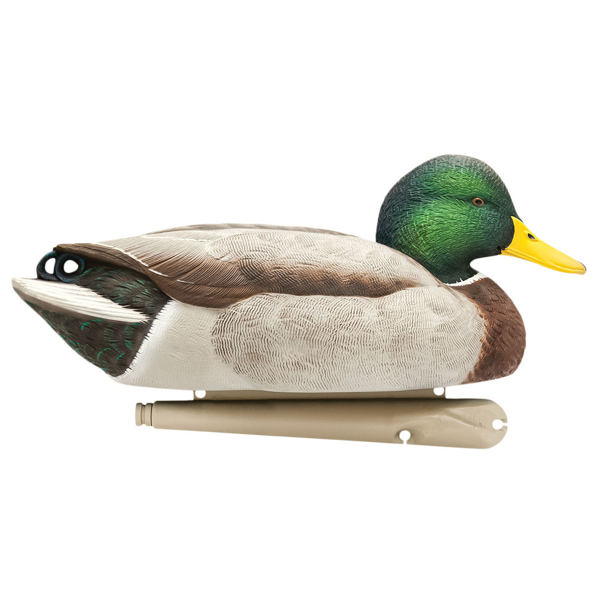 Swimmer image of the Avian-X Topflight Mallards Fusion Extreme Drake.