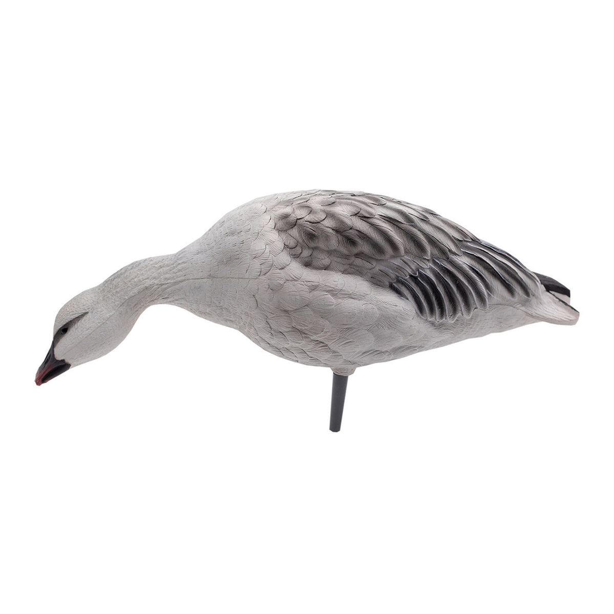 image of Avian-X AXP Fully Body Snow and Blue Mix Goose Decoys Juvie Snow Feeder.