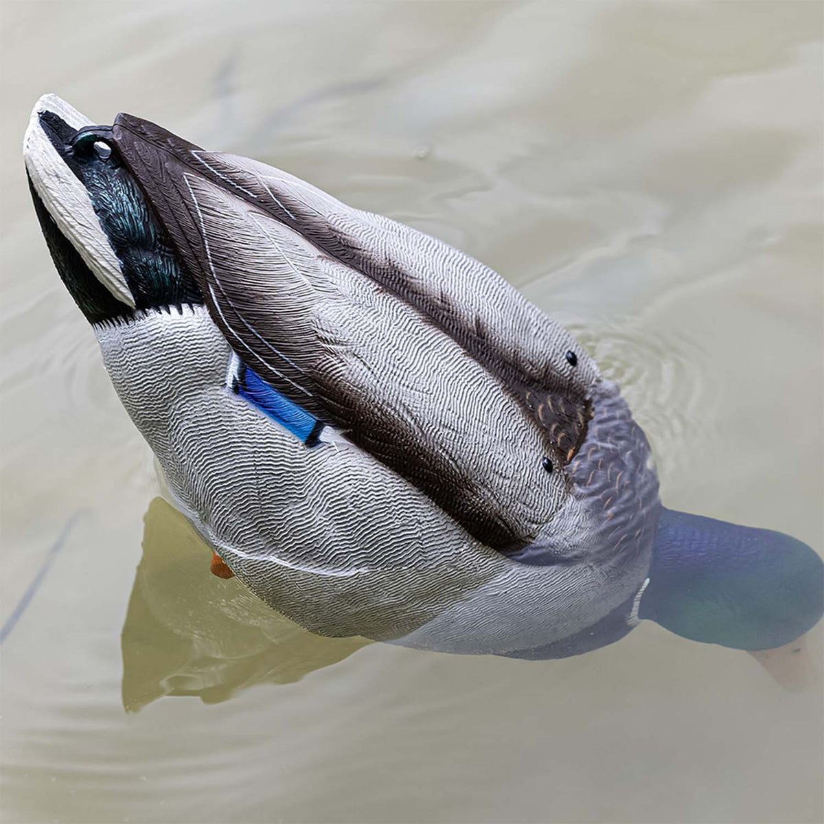 Avian-X Tip Up Mallard Feeder Decoy In the Water Image