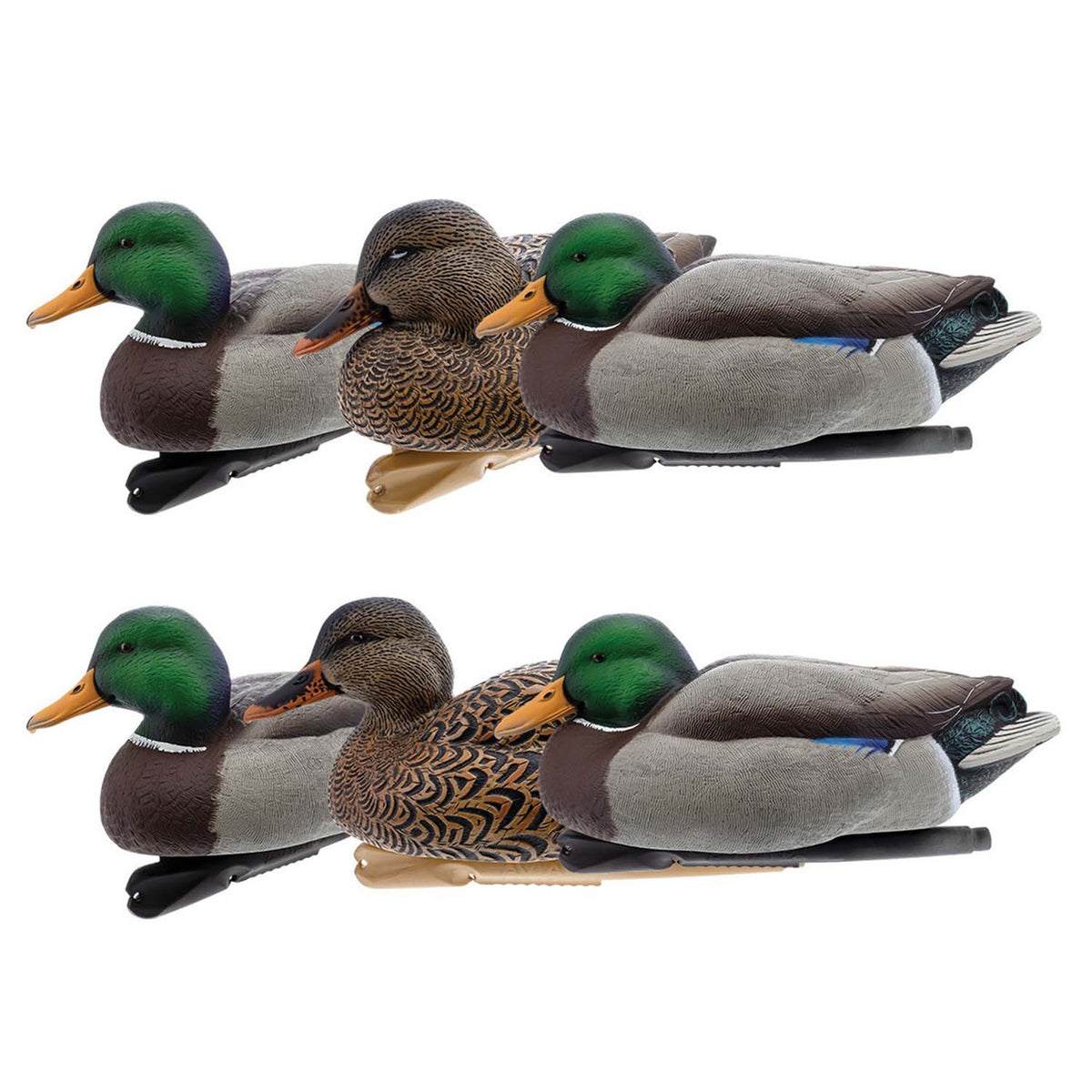 Six Pack Image of the Avian-X Topflight Oversized Floating Mallard Decoys.