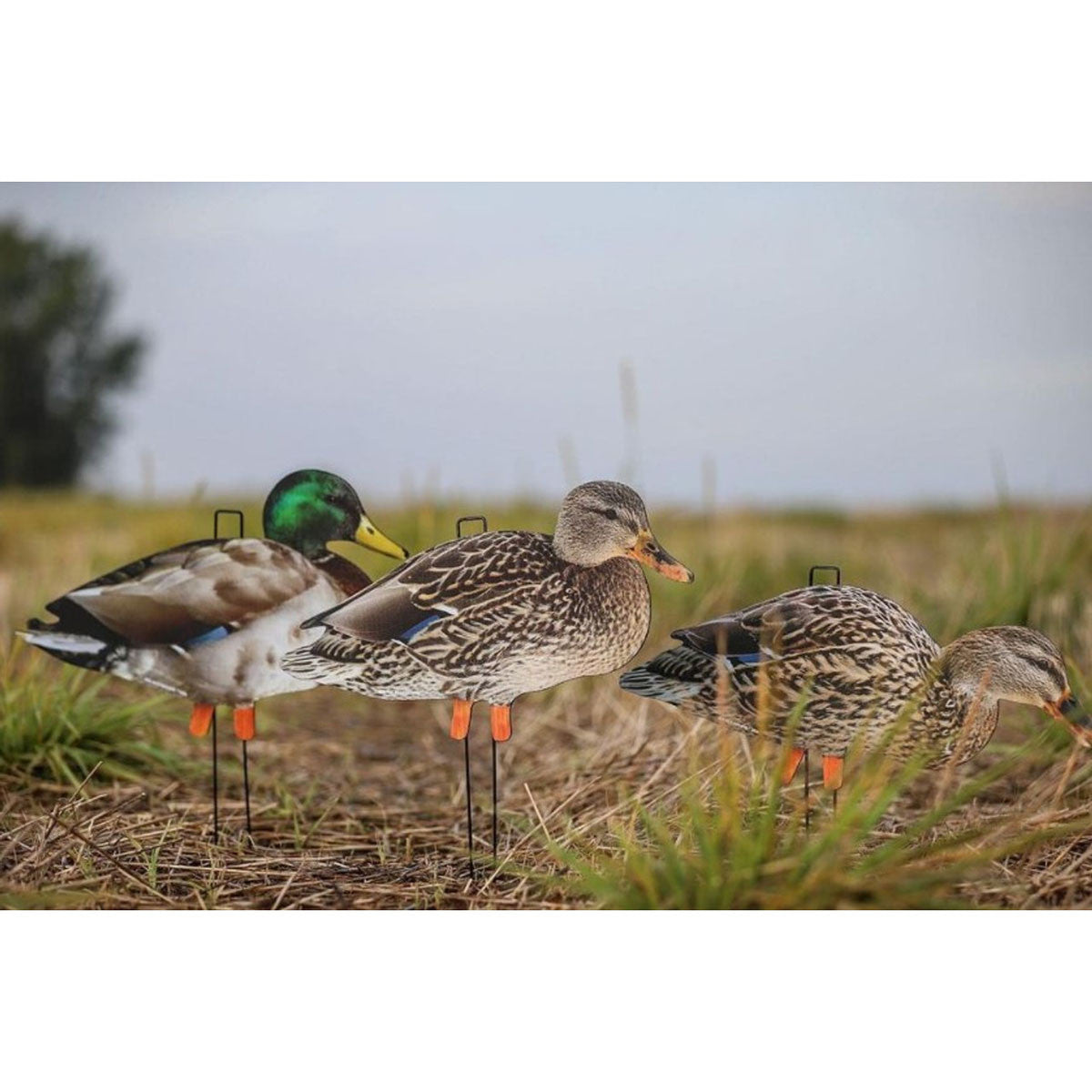 Life Like Mallard Duck Silhouette Decoys, 12 Pack