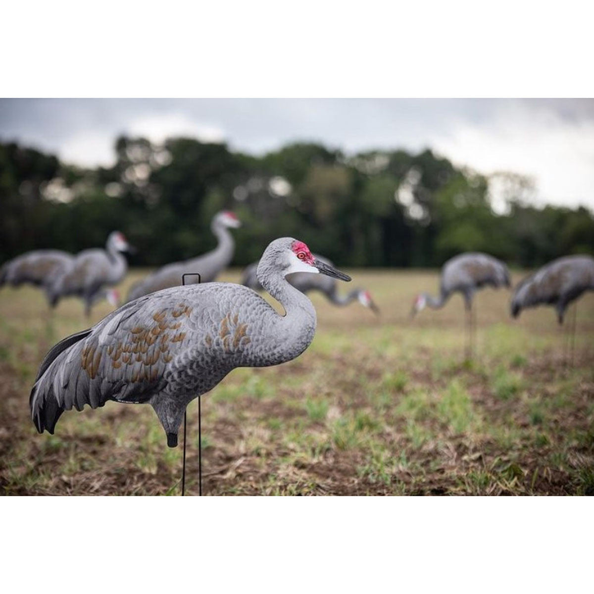 Image of the Big Al's Decoys Sandhill Crane Silhouettes.