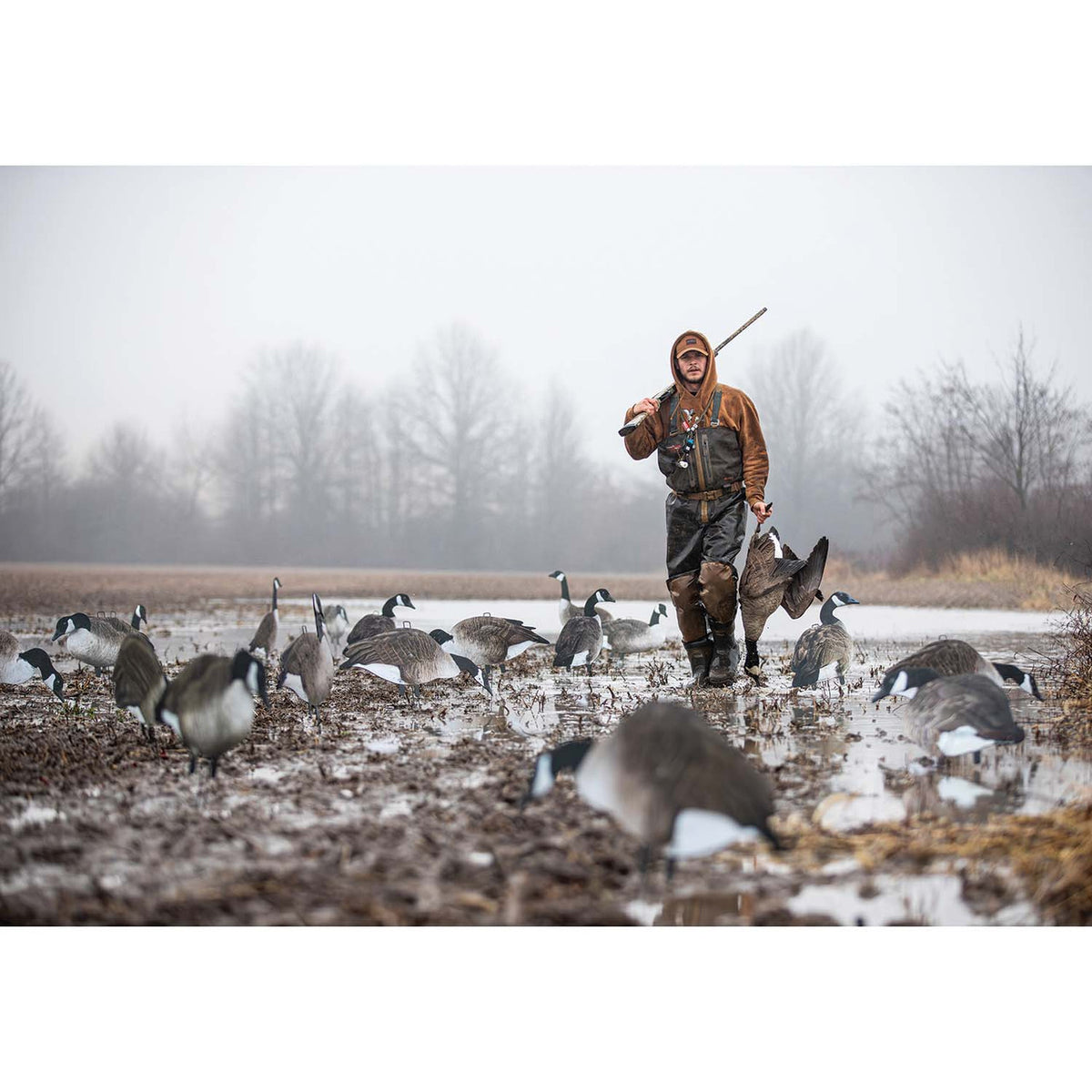Big Als Decoy X14 Greater Canada Goose Silhouette Decoys Field Image