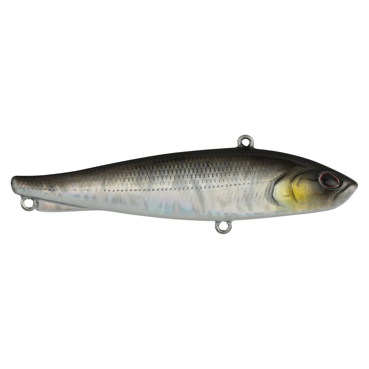 Berkley Ripfish image in Black Silver