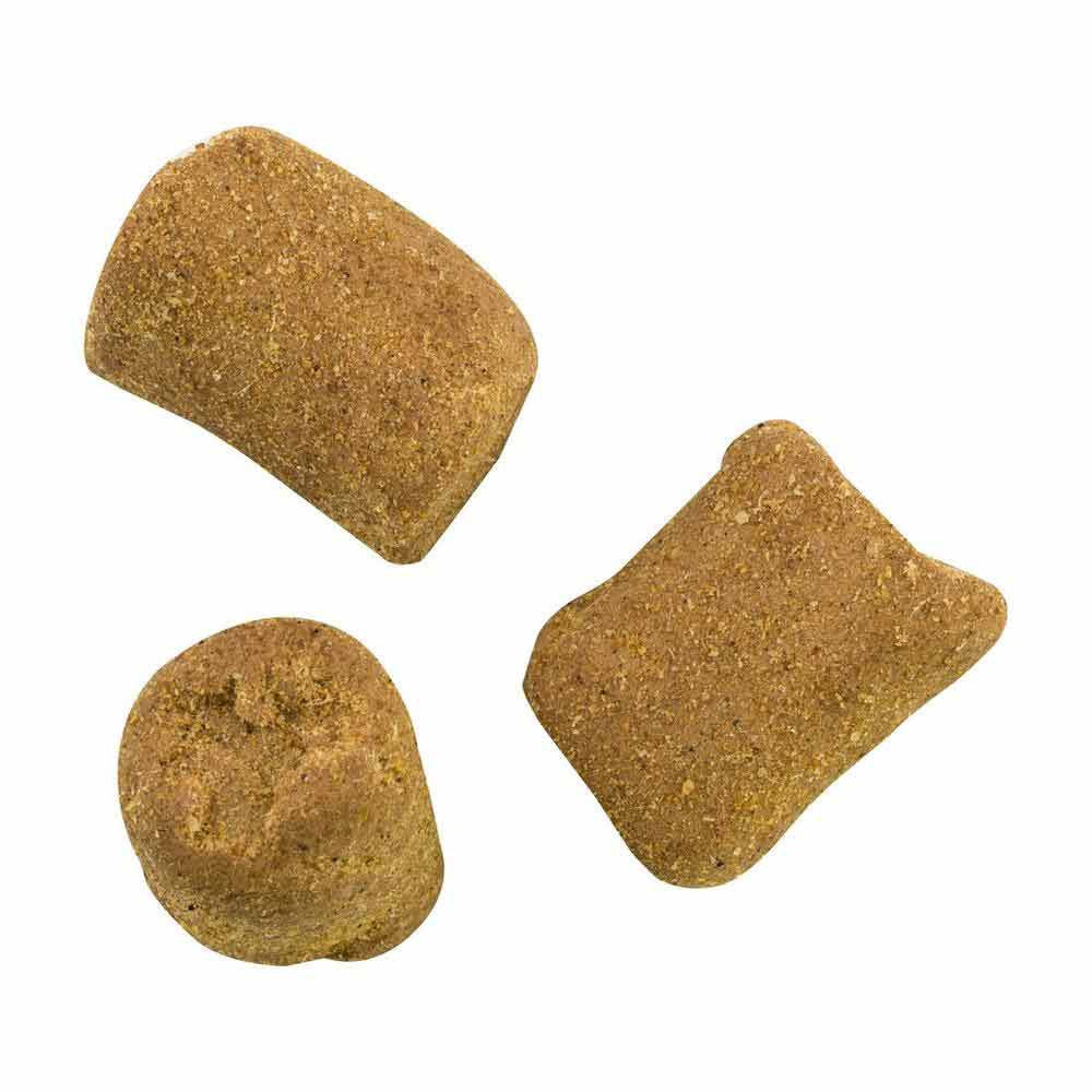 Liver and Cheese