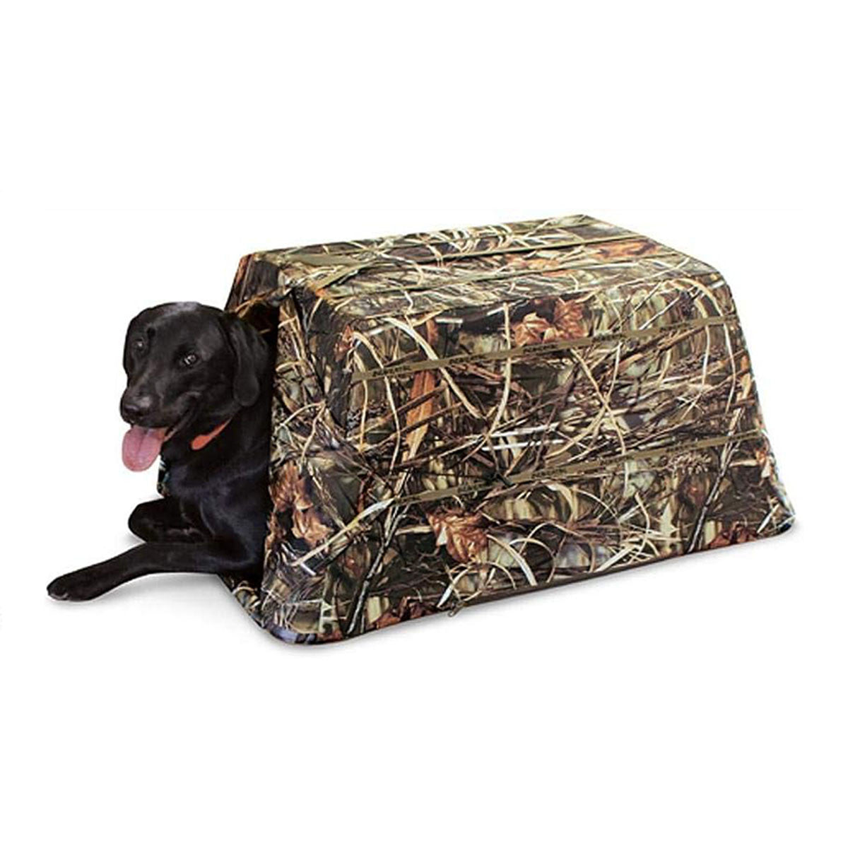 Dog Blind in Karma Wetlands