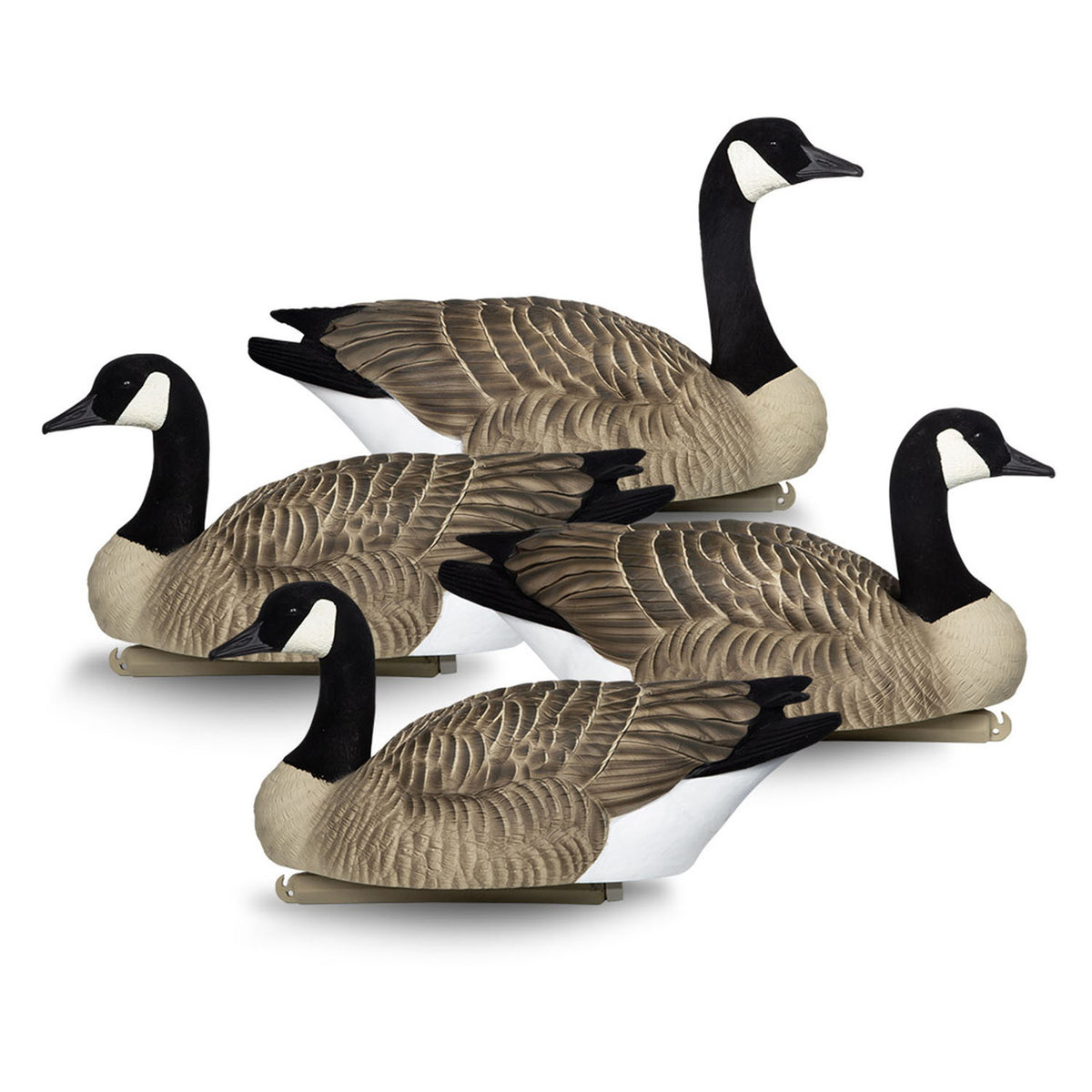 Four Pack Image of the Beavertail Rogue Series One-Piece Floating Goose Decoys.