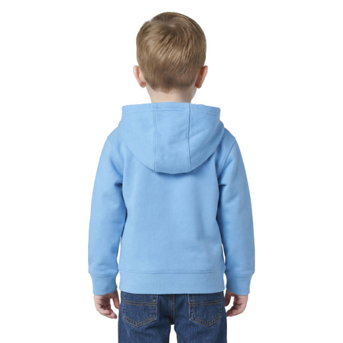 Back Image of the Carhartt Kids Boys' Long-Sleeve Hooded Graphic Sweatshirt.