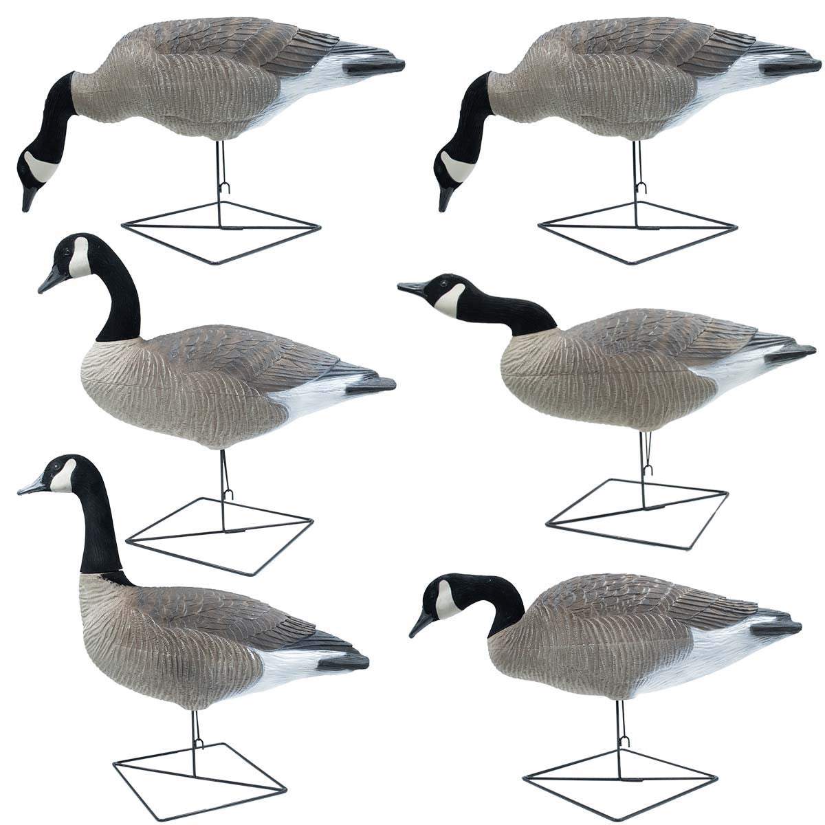 BigFoot Decoys B2 Extreme Motion Full Body Canada Goose Decoys - 6 Pack Image