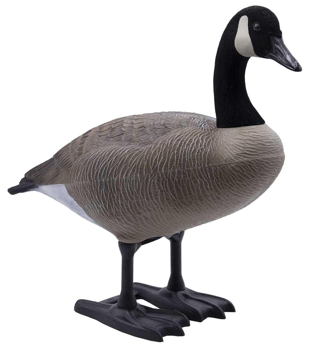 Full Body Legacy Variety Canada Decoys, 6 Pack