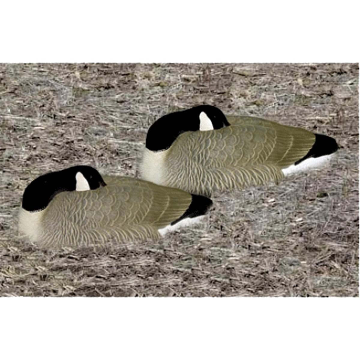 Big Foot B2 Canada Goose Sleeper Shell Field Image