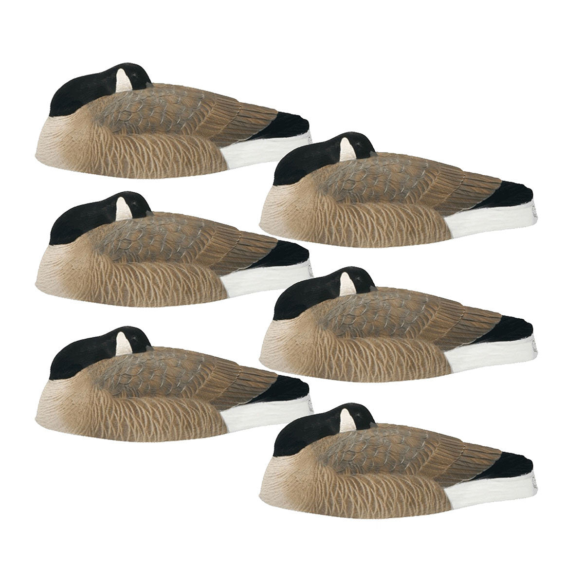 Bigfoot Decoys Oversized Canada Goose Sleeper Shell Decoys 6 Pack Image