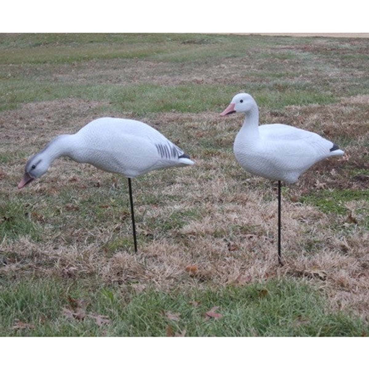 Bigfoot Snow Goose Decoys with Motion Stakes Lifestyle Image