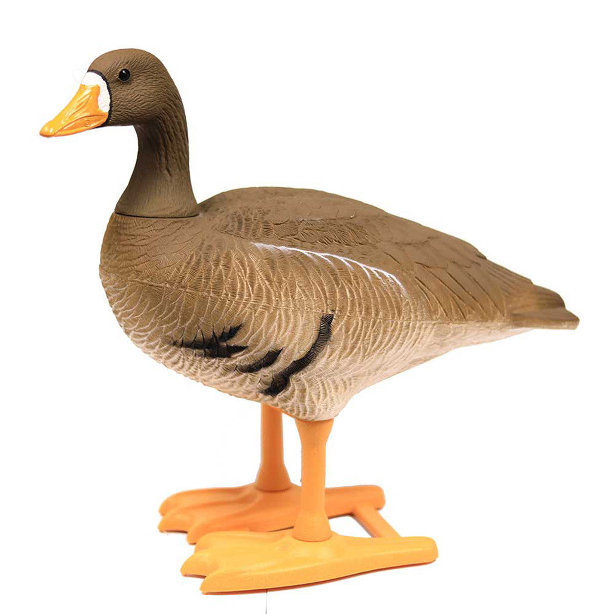 Big Foot Whitefront Specklebelly Goose Decoys Upright Image