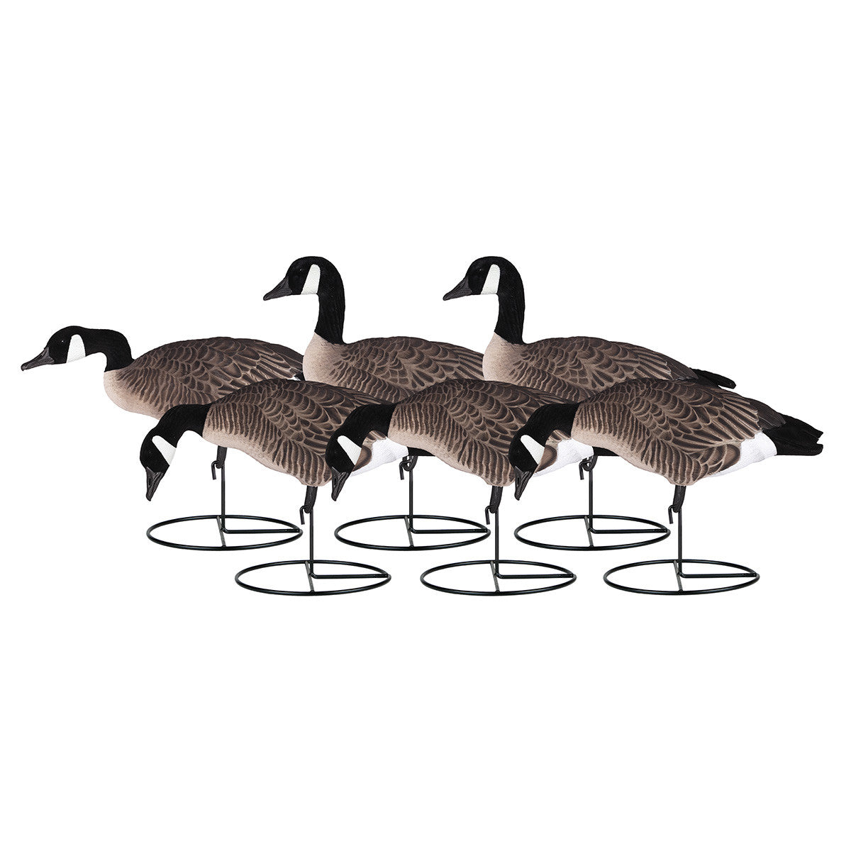 Dakota Decoys Full Flocked Full Body Lesser Goose Decoys - 6 Pack Image