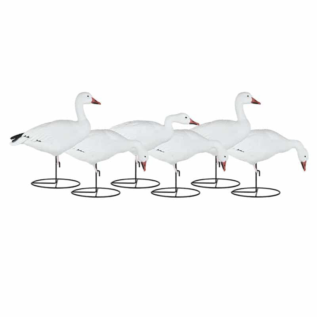 Dakota Decoys Migration Series Snow Goose Decoys, 6 Pack Image