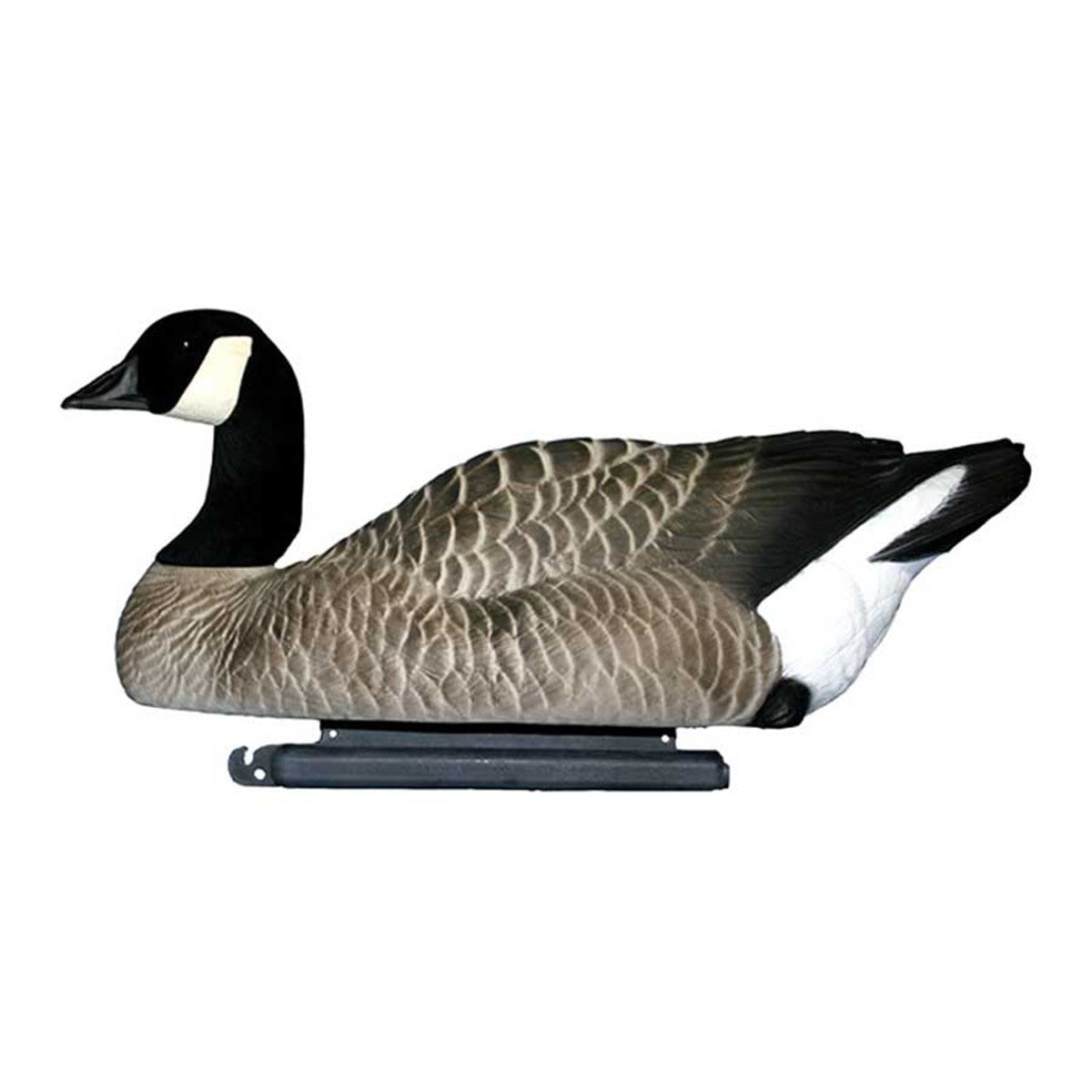 Dakota Decoys X-Treme Canada Goose Floaters Short Neck Image