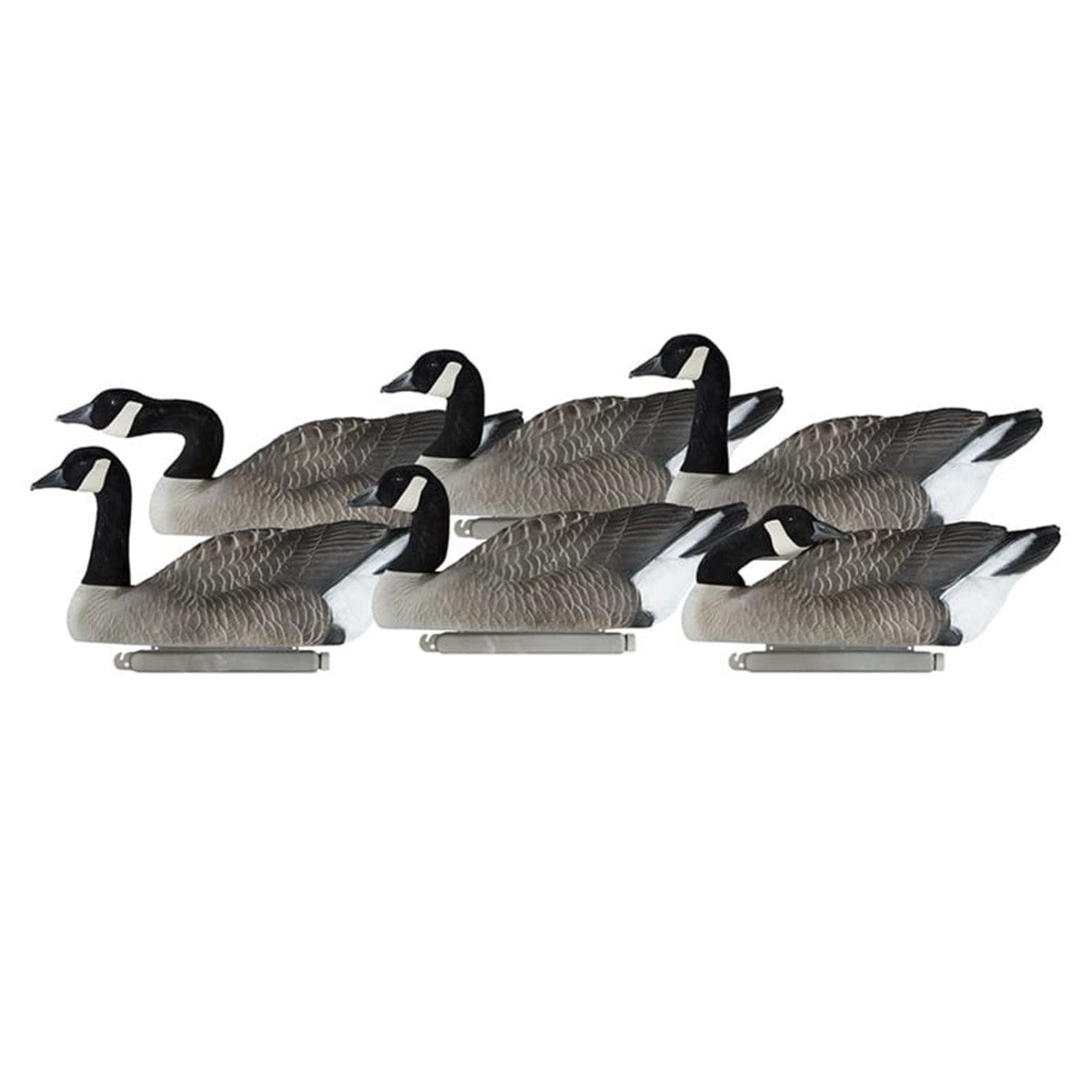 Dakota Decoys X-Treme Canada Goose Floaters, 6 Pack Image