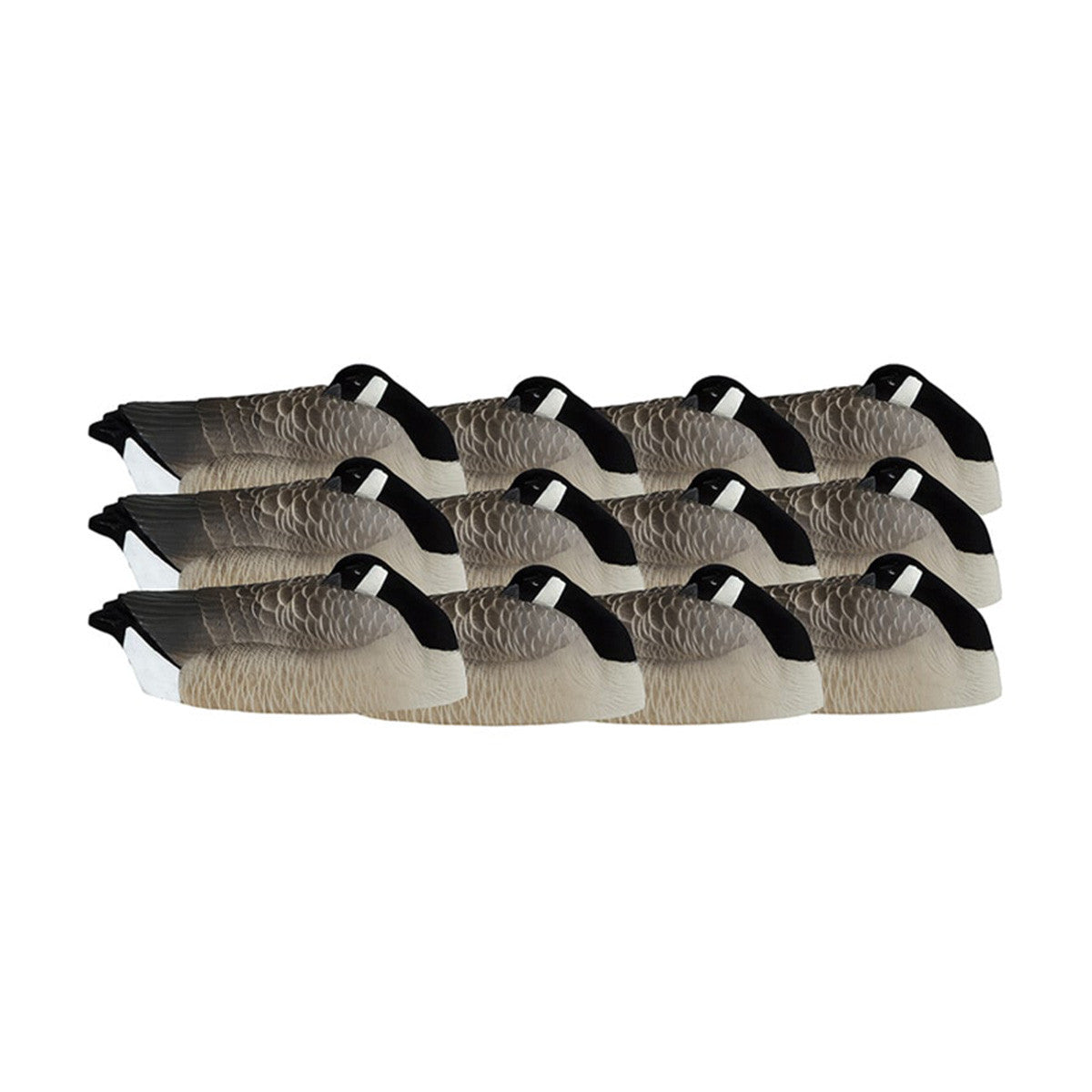 Dakota Decoys Painted One Piece Canada Sleeper Shell Decoys, 12 Pack Image