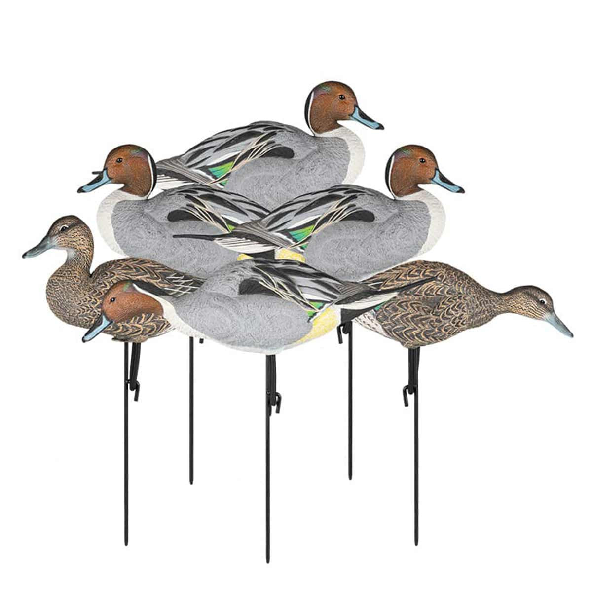 Dakota Decoys Full Body Pintail Duck Decoys 6 Pack Image