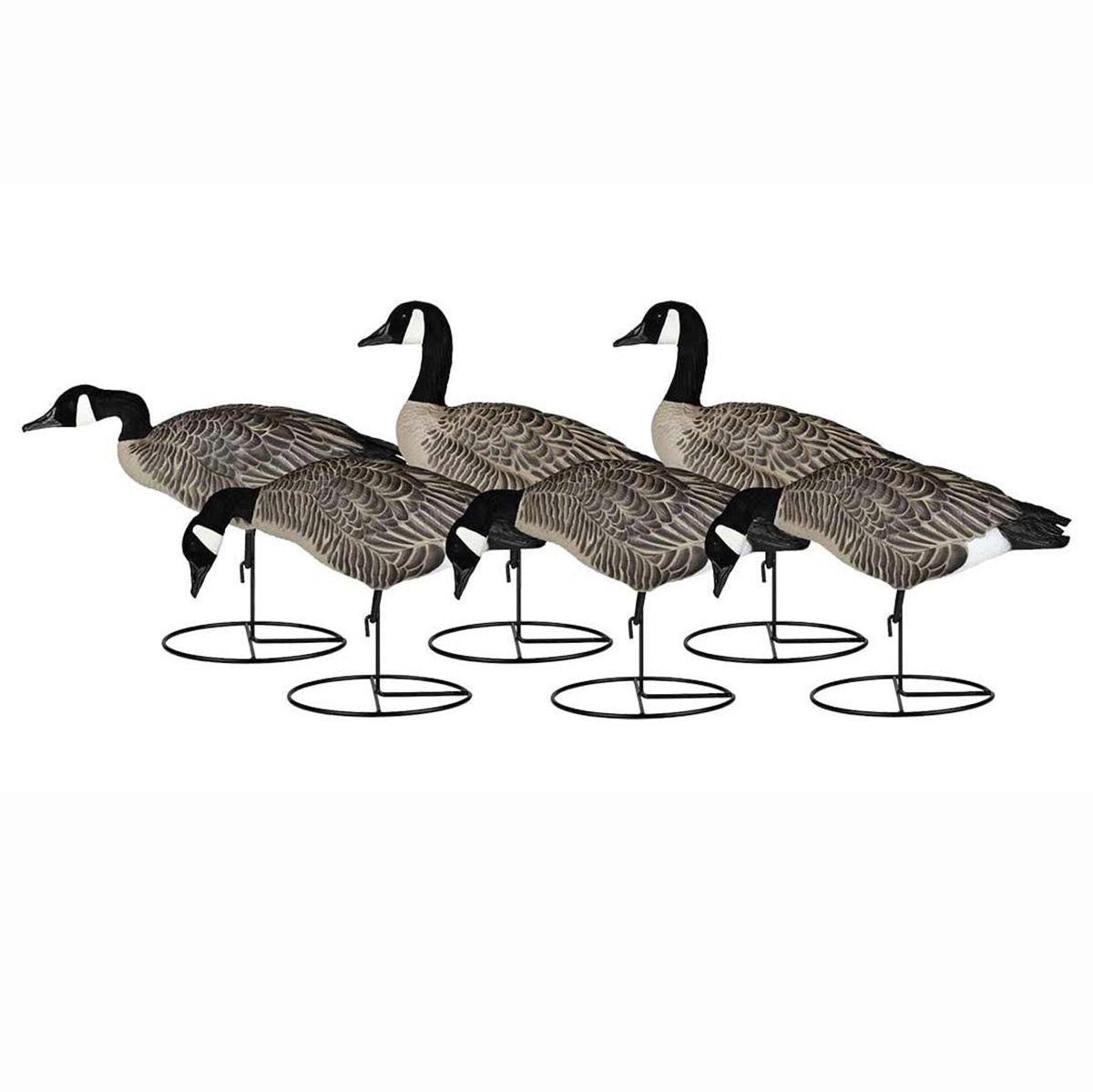 Dakota Decoys Signature Series Lesser Canada Goose Decoys Product Image