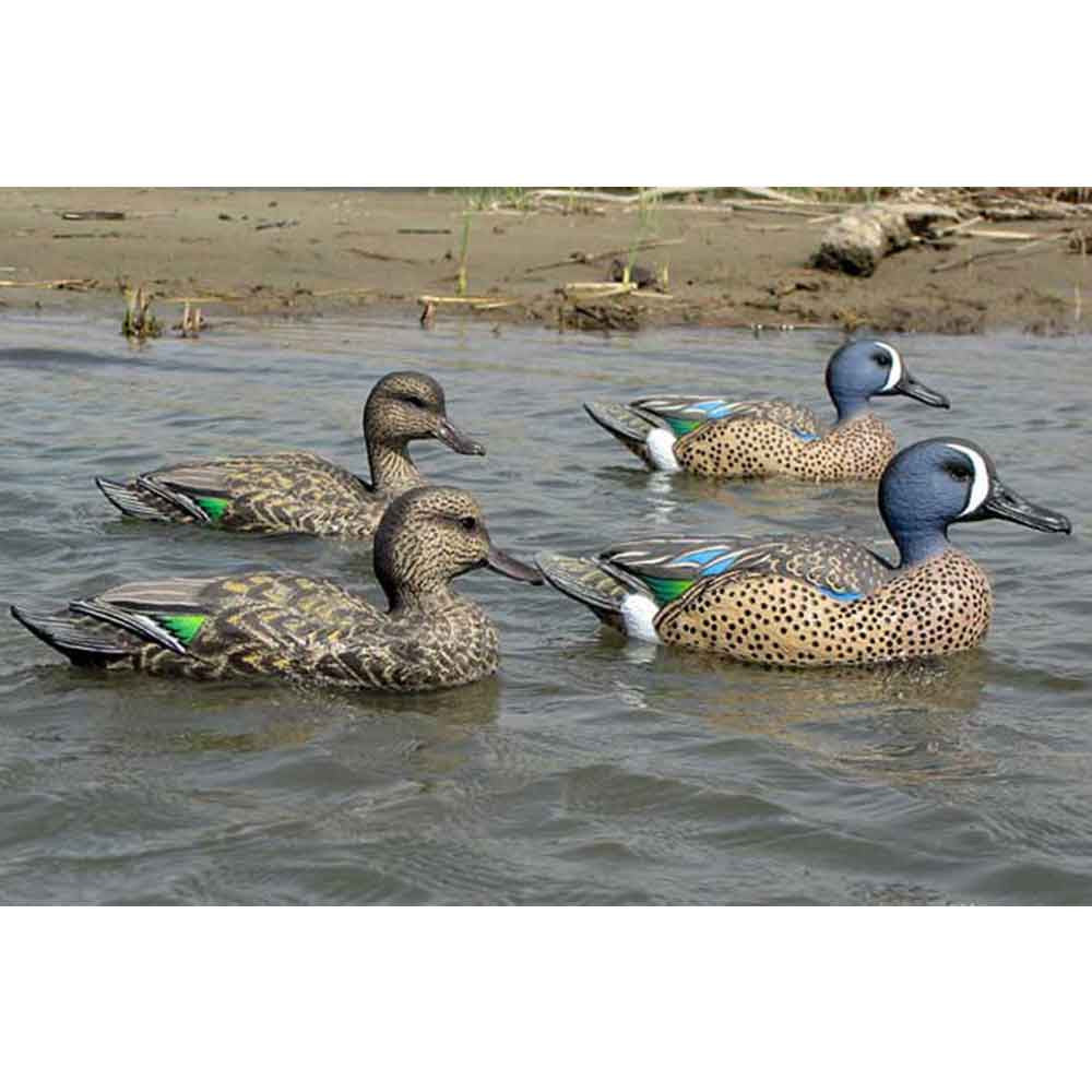Blue Wing Teal Decoys 12 Pack