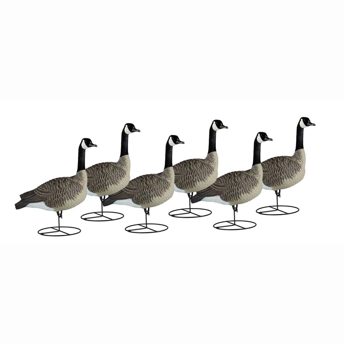 Dakota Decoys Signature Series Sentry - 6 Pack