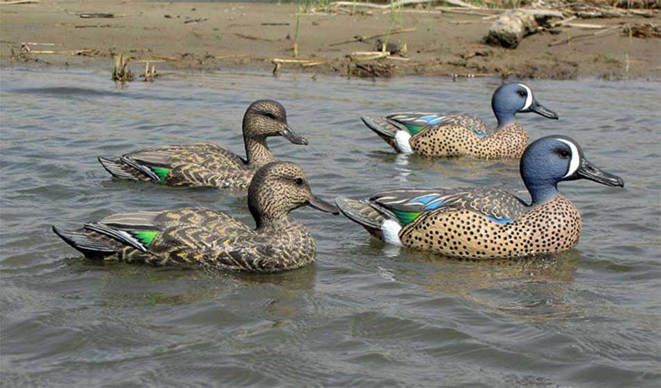 Dakota Decoys X-Treme Blue-Winged Teal Duck Decoys, 6 Pack In-the-Field Image