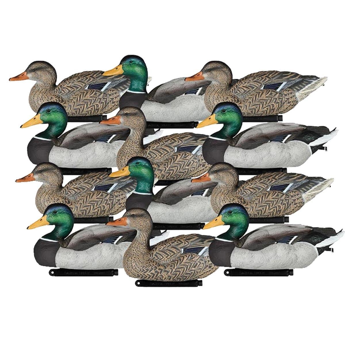 Dakota Decoy X-treme Painted Head Packable Mallard Floating Duck Decoys Product Image
