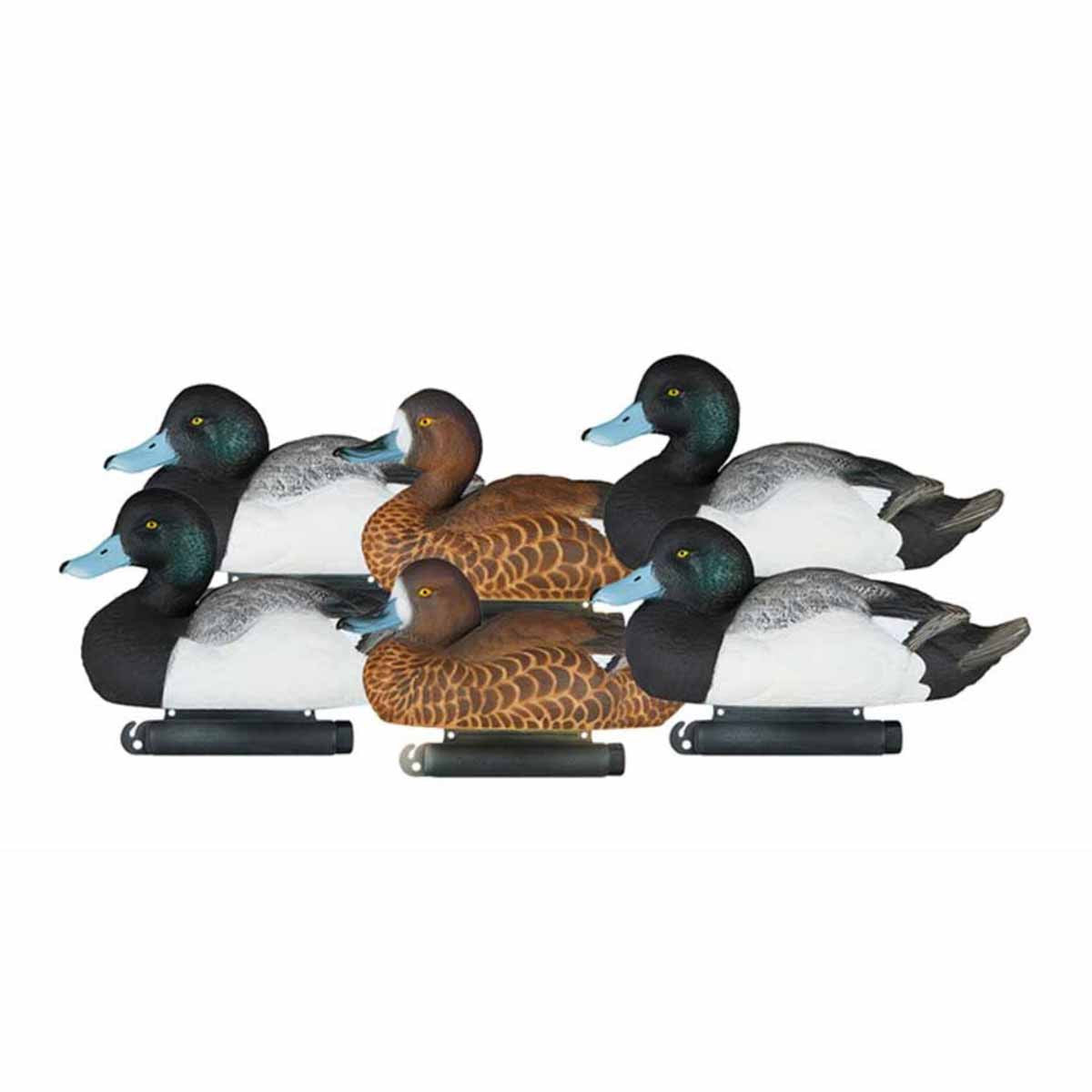 Dakota Decoy X-Treme Bluebill Duck Decoys Product Image