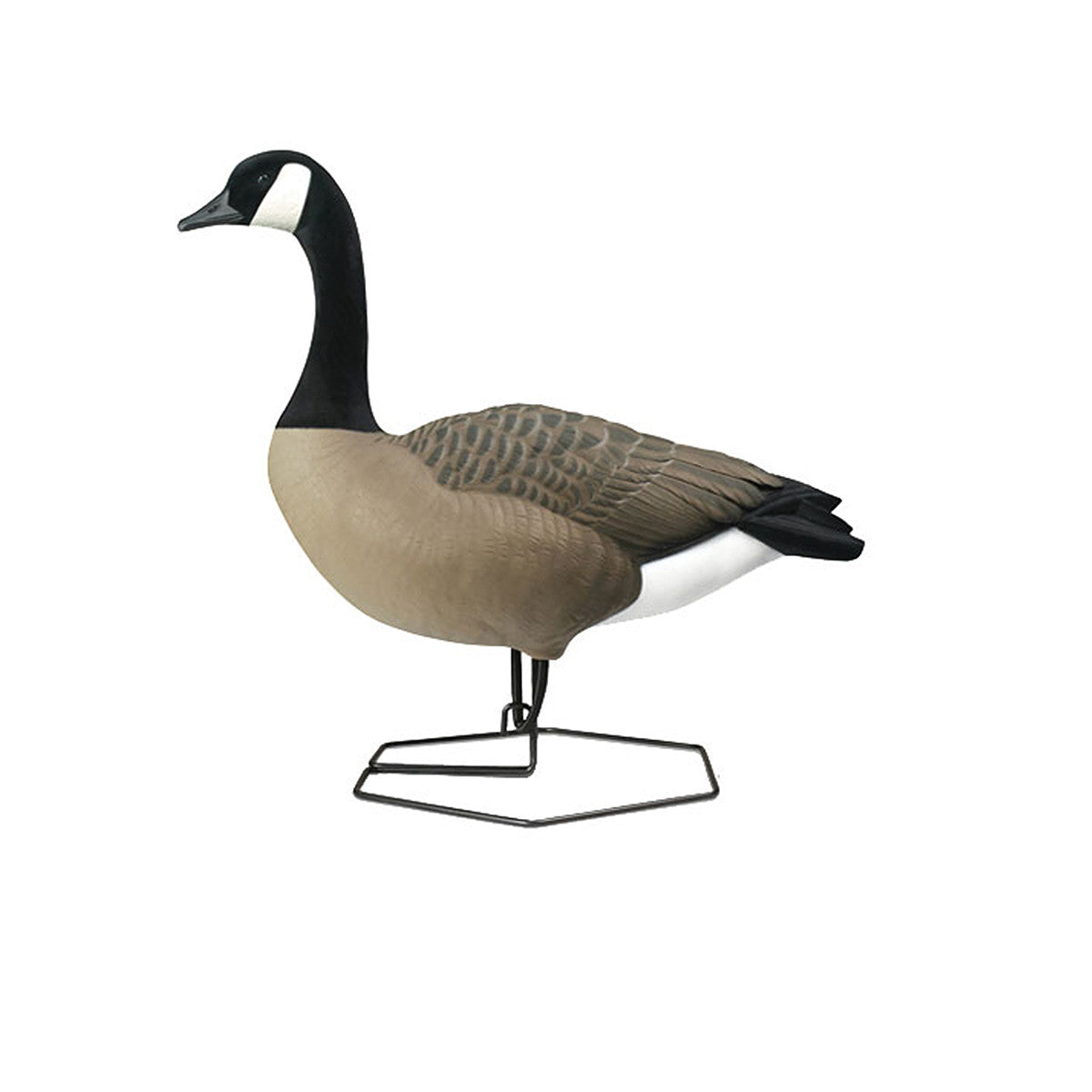 Rogue Series Full Body Canada Goose Decoys, 6 Pack