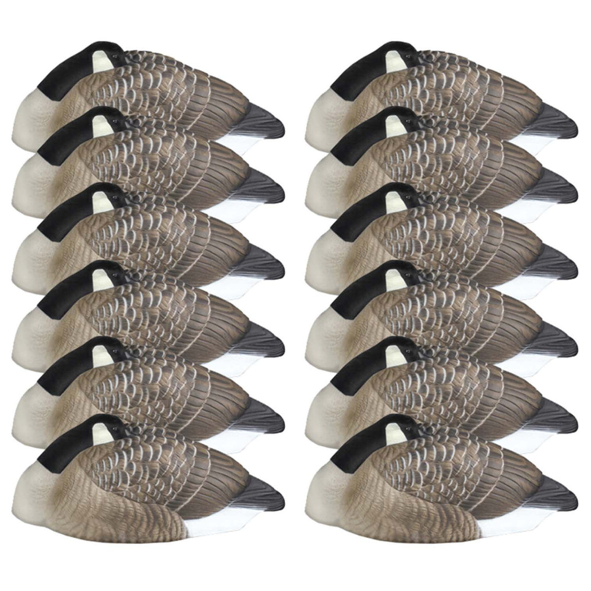 DOA Decoys Rogue Series Goose Sleeper Shells, 12 Pack Image