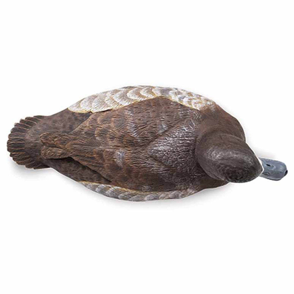 DOA Decoys Bluebill Foam Filled Floating Duck Decoy Hen Top Image