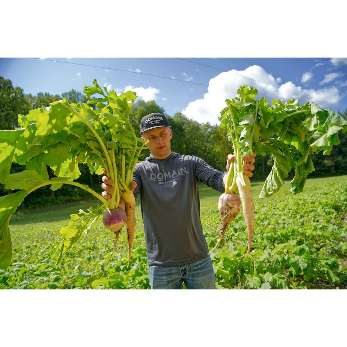 Produce Image of the Domain Outdoor Big Sexy Food Plot Seed.