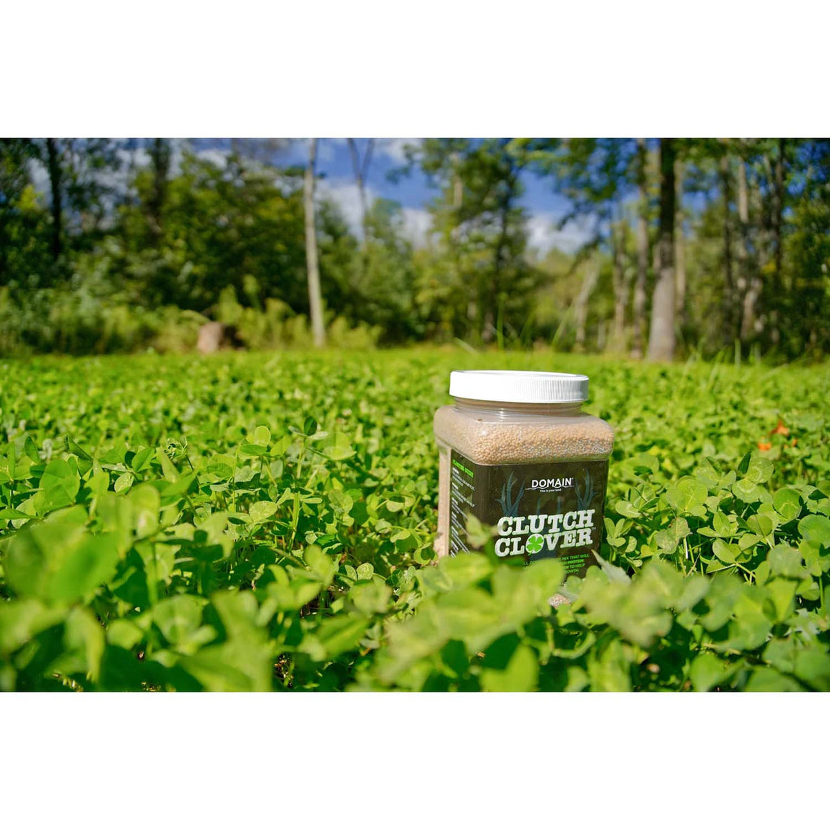Image of the Domain Clutch Clover Food Plot Seed around clovers.
