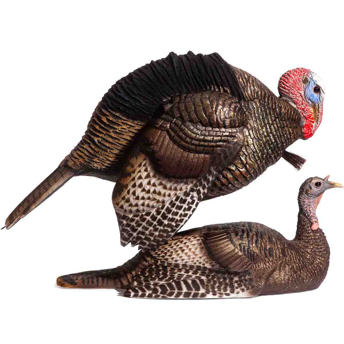 Dave Smith Decoys Mating Motion Pair Turkey Decoys Main Image