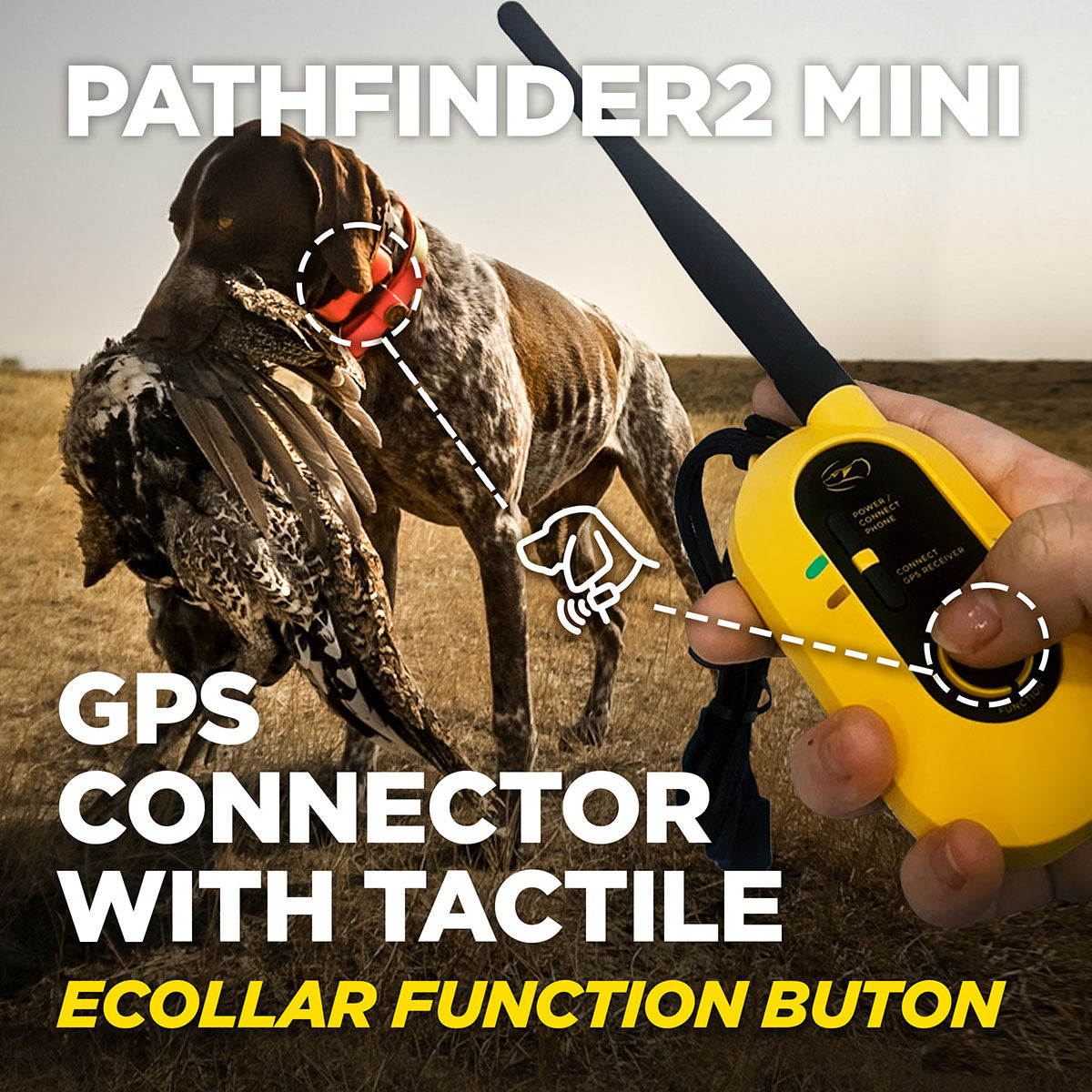 Pathfinder 2 Mini Dog E-Collar