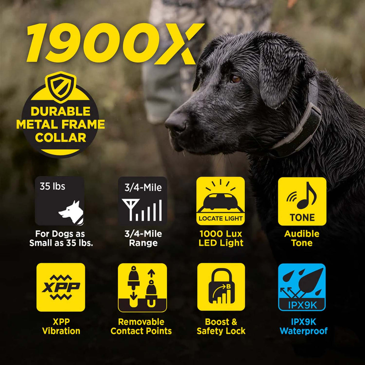 Dogtra 1900X 2-Dog Electronic Dog Collar Details Image