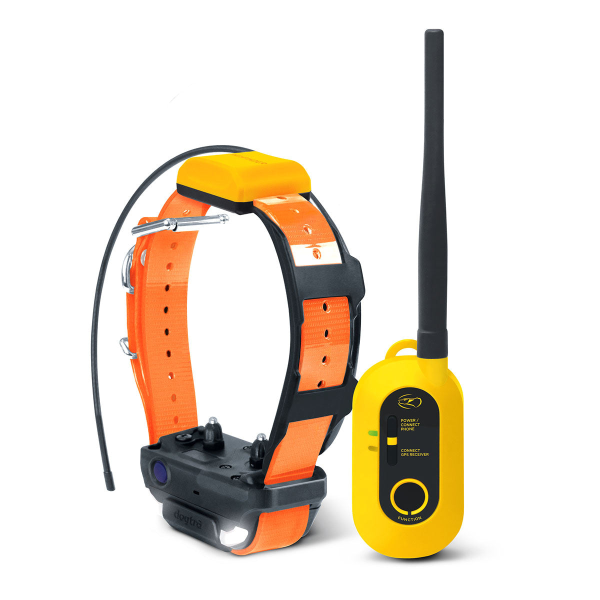 Pathfinder 2 E-Collar