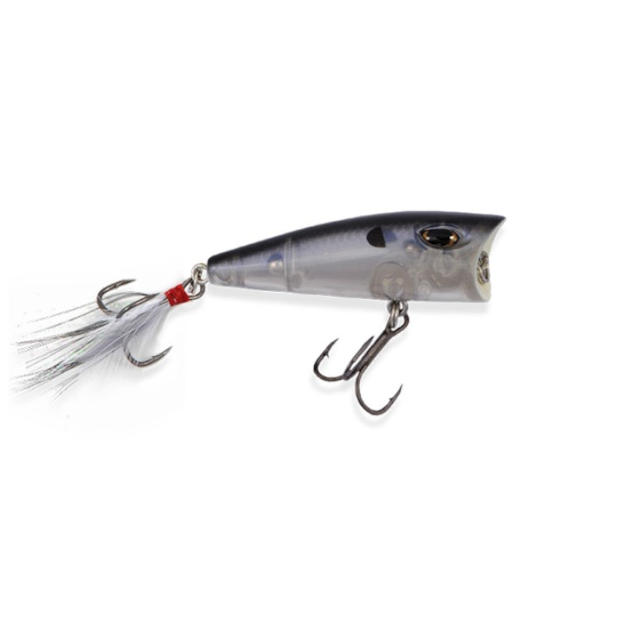 BD Topwater Popper