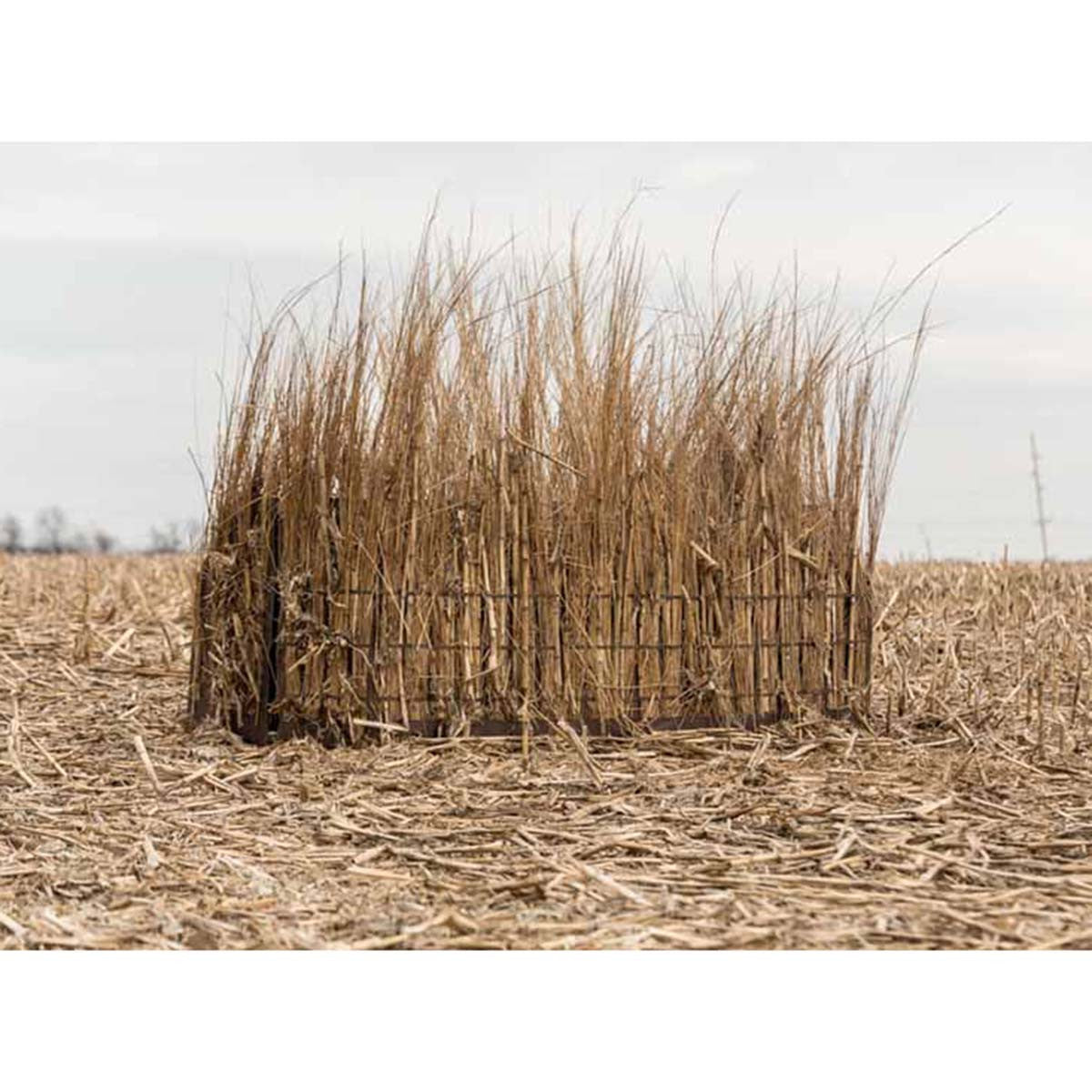 Lucky Duck 2x4 Hunting Blind Setup with Grass Image