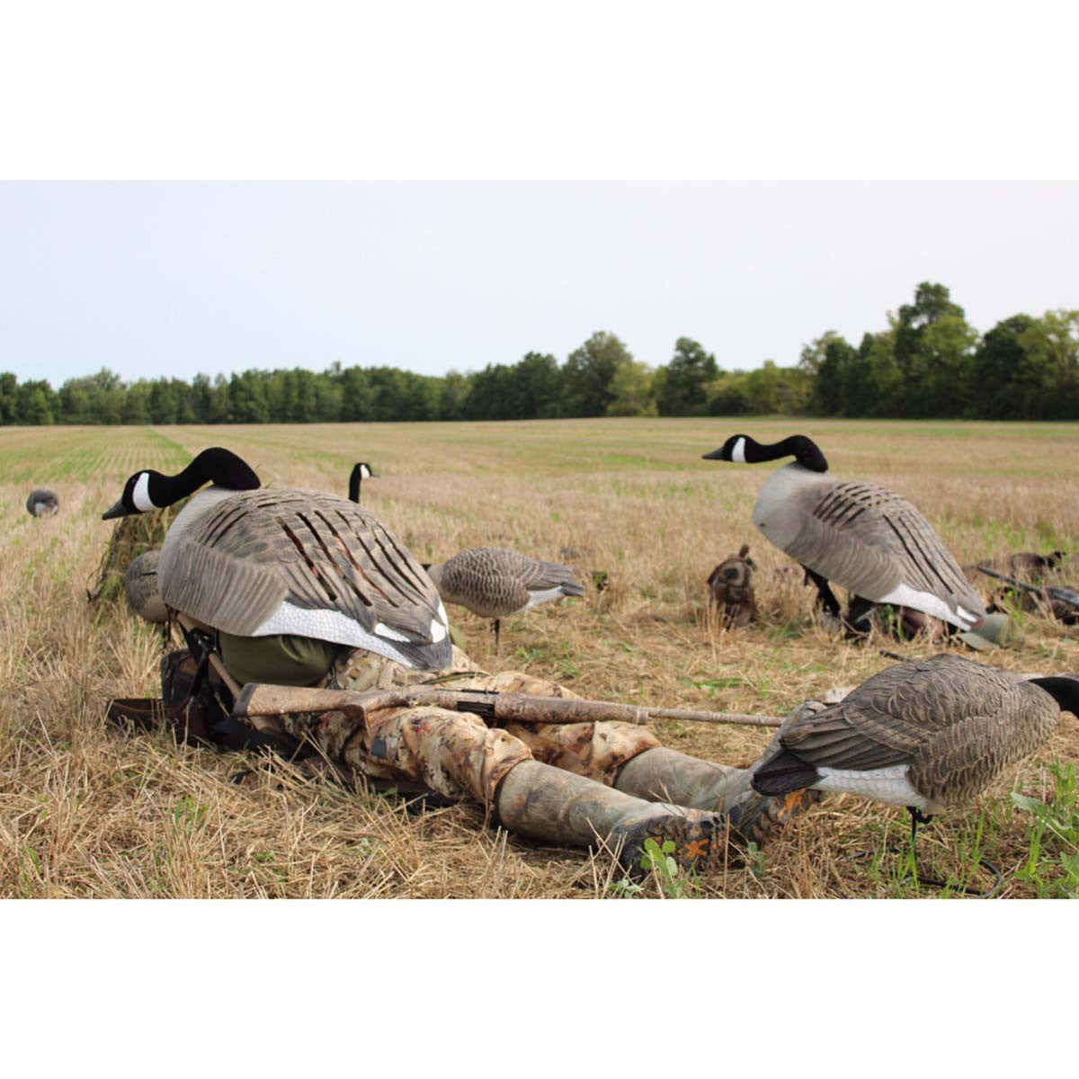 Lucky Duck Goose Chair Layout Hunting Blind Image