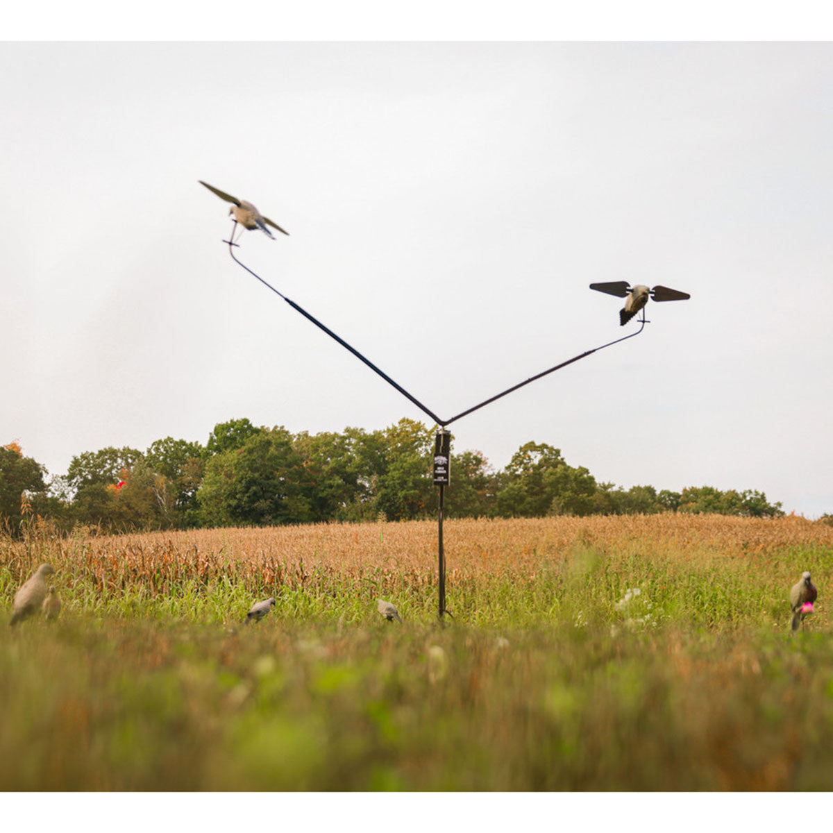 Lucky Duck Dove Flocker Setup Image