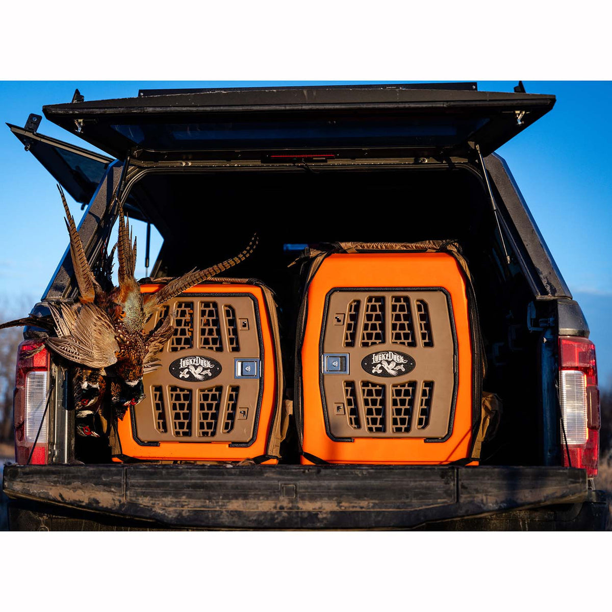 Lucky Kennel, Large/Upland Orange