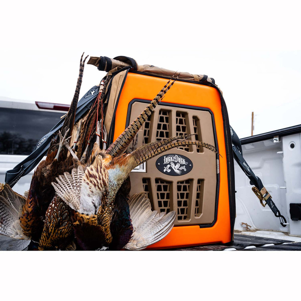 Lucky Duck Lucky Kennel, Large/Upland Orange Lifestyle Image