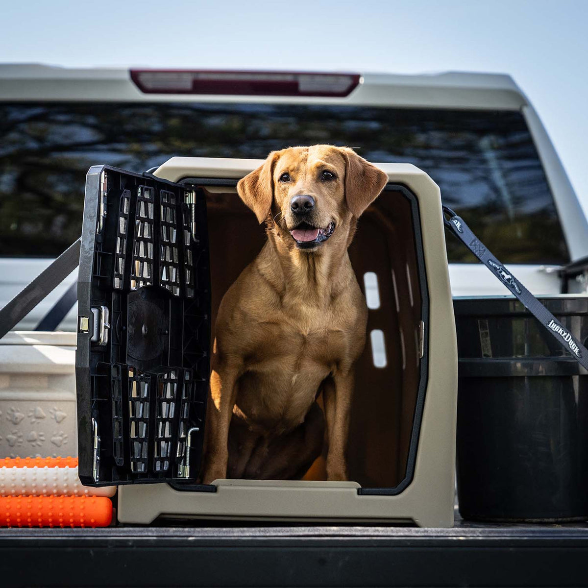 Lucky Duck Lucky Kennel, Intermediate/Prairie Tan Lifestlye Image