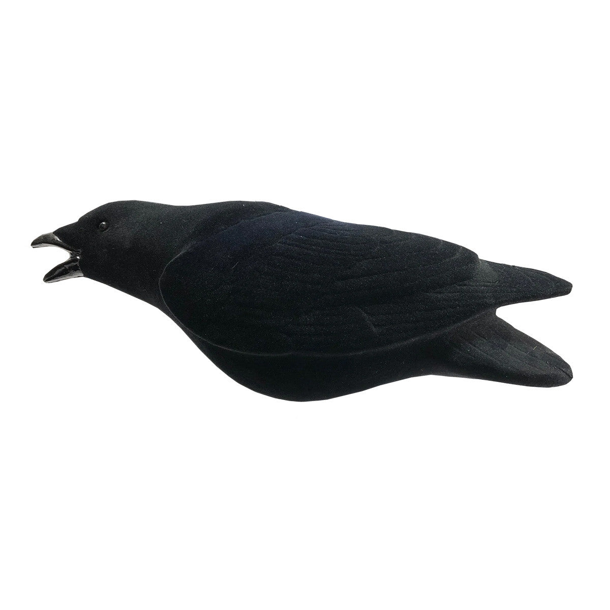 Single Image of the Final Approach Fully Flocked Crows Decoys.