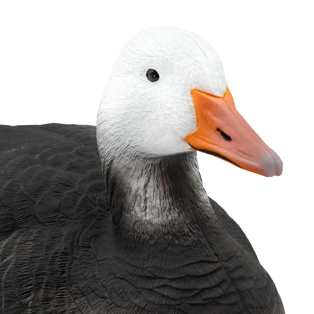 Final Approach Last Pass Floater Blue Goose Decoy Detailed Head Image
