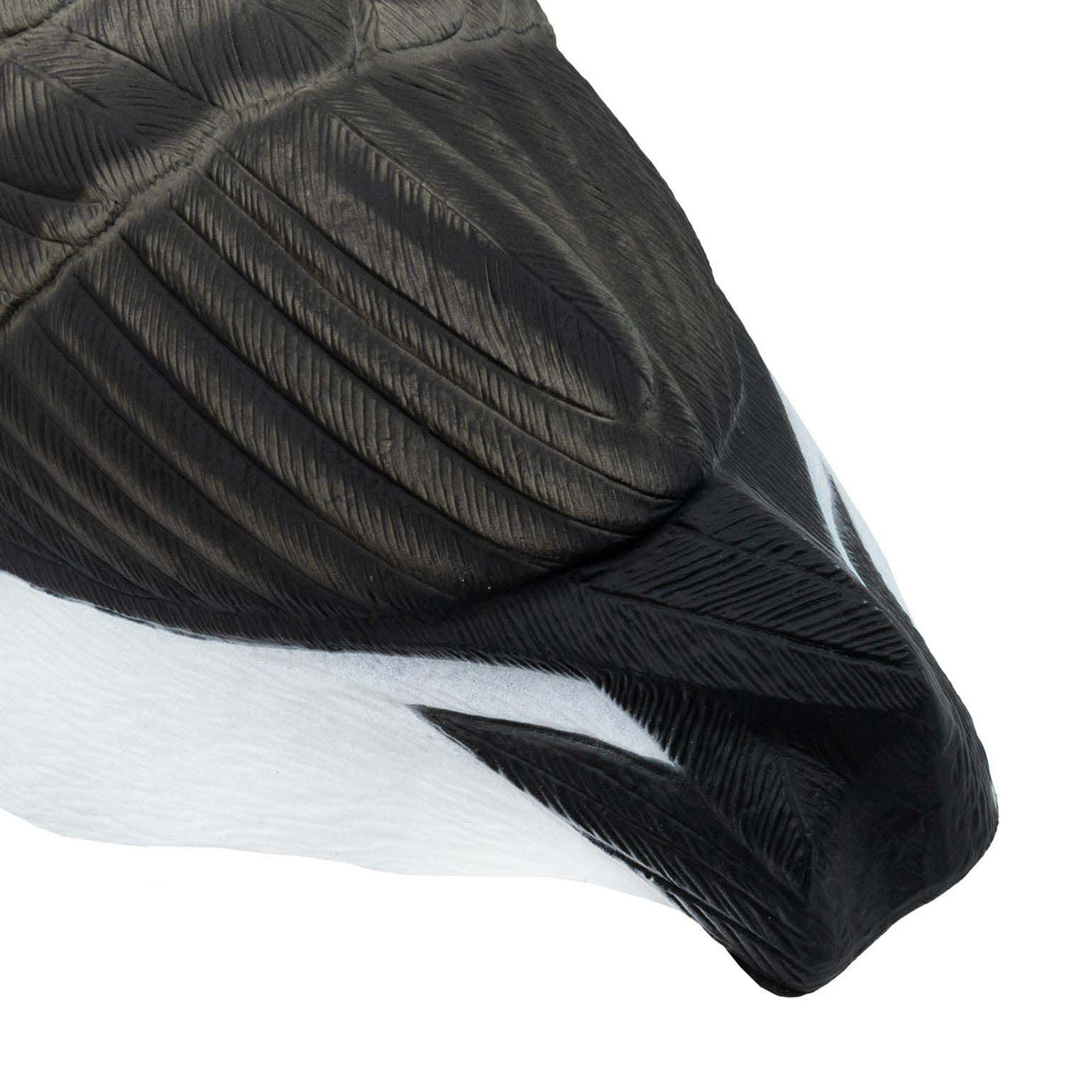Final Approach Last Pass Honker Sleeper Shell close up tail feathers image